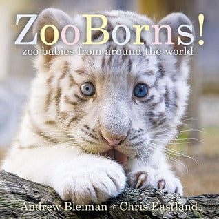 ZooBorns!: Zoo Babies from Around the World - Boardbook