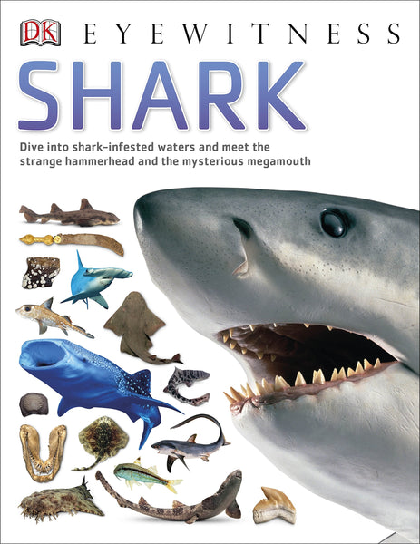 DK Eyewitness : Shark - Paperback