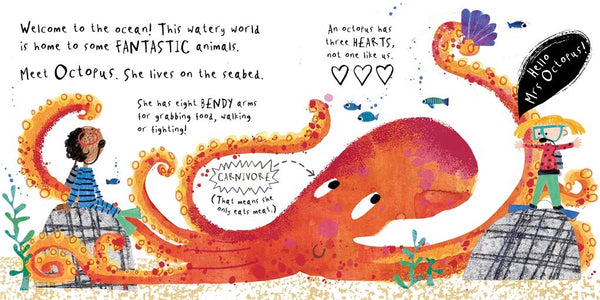 Hello, Mr Whale - Board book