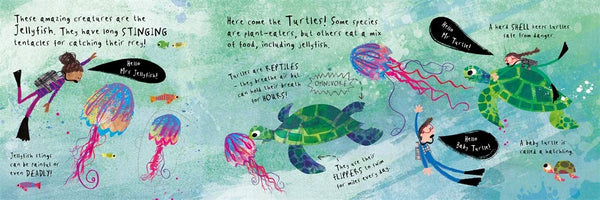 Hello, Mr Whale - Board book