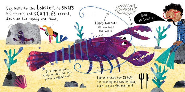 Hello, Mr Whale - Board book