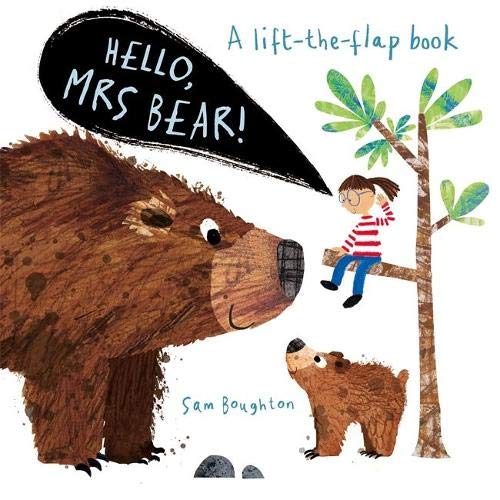 Hello, Mrs Bear - Board book