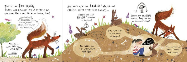 Hello, Mrs Bear - Board book