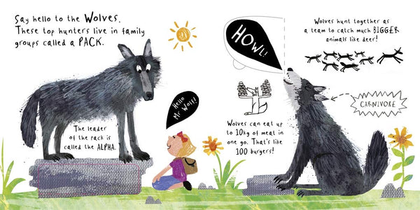 Hello, Mrs Bear - Board book