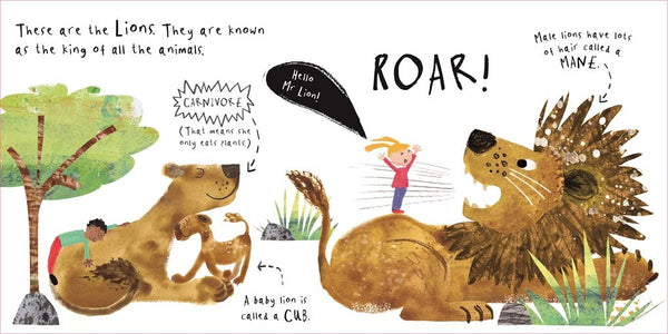 Hello, Mrs Elephant - Board book
