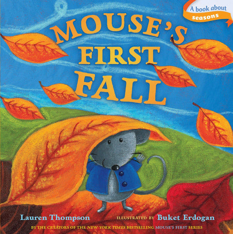 Mouse's Firsts : Mouse's First Fall - Boardbook