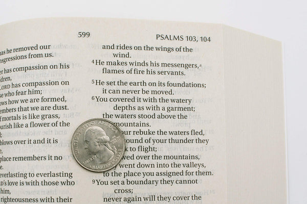 Holy Bible: New International Version - Paperback