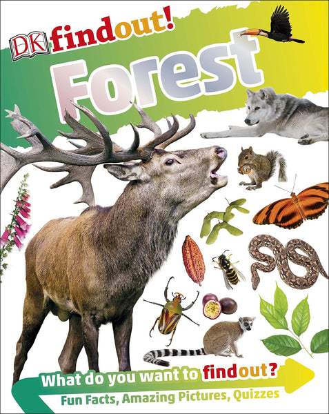 DKfindout! Forest - Paperback