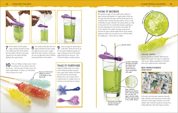 Home Lab : Exciting Experiments for Budding Scientists - Hardback