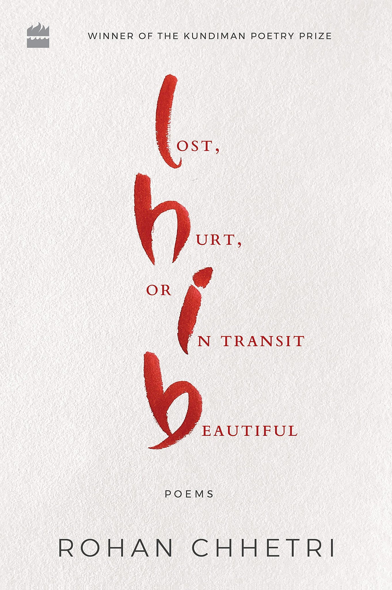 Lost, Hurt, or in Transit Beautiful - Paperback