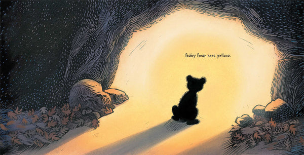 Baby Bear Sees Blue - Boardbook
