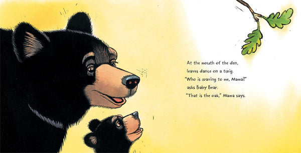 Baby Bear Sees Blue - Boardbook