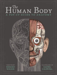 The Human Body: A Pop-Up Guide to Anatomy - Hardback