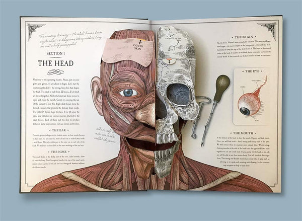 The Human Body: A Pop-Up Guide to Anatomy - Hardback