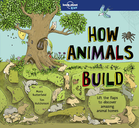 Lonely Planet Kids : How Animals Build - Hardback