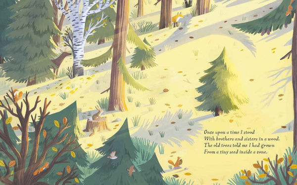 The Christmas Pine - Hardback