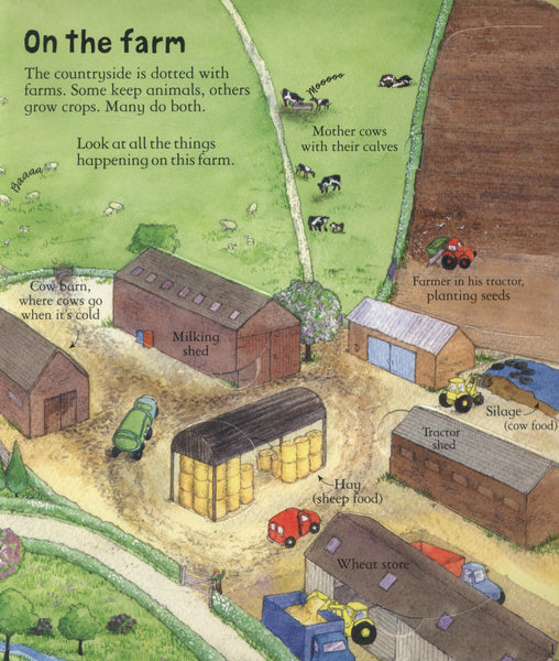 Usborne Look Inside A Farm - Hardback