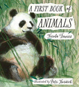 A First Book of Animals - Hardback