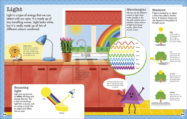 Robert Winston Science Squad Explains: Key Science Concepts Made Simple And Fun - Hardback