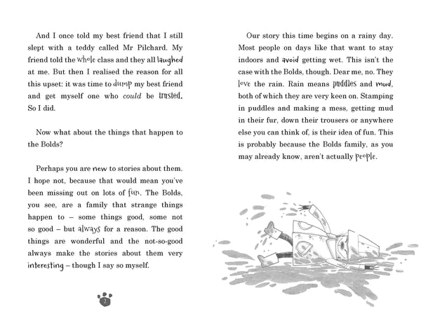 The Bolds Go Wild - Hardback