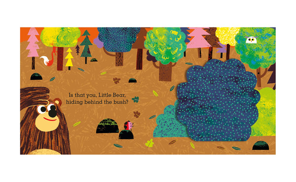 Is that you, Little Bear? - Boardbook