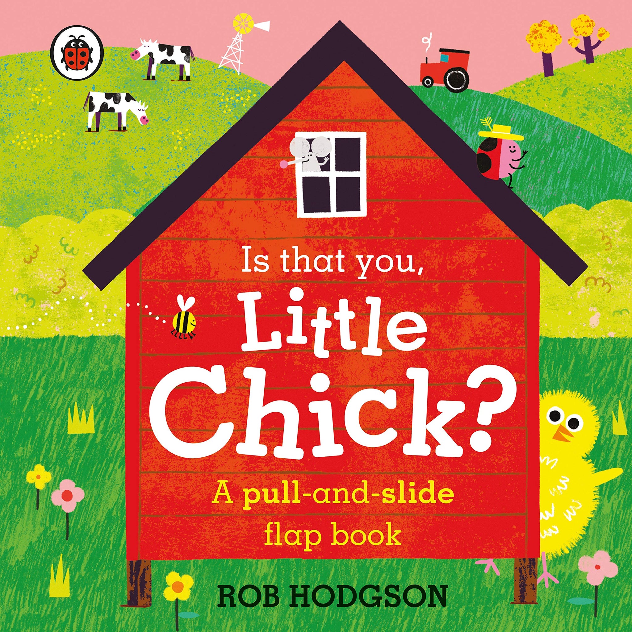 Is that you, Little Chick? - Boardbook