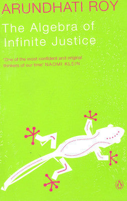 The Algebra of Infinite Justice - Paperback