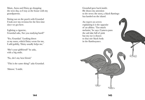 The Black Flamingo - Hardback