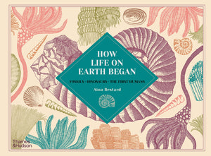 How Life on Earth Began: Fossils · Dinosaurs · The First Humans - Hardback
