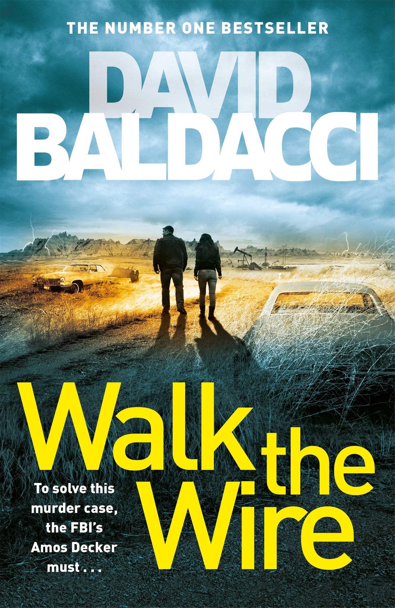 Walk the Wire - Paperback