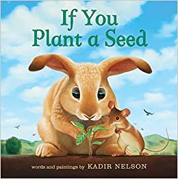 If You Plant a Seed  - Board Book