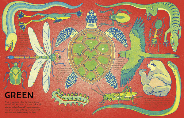 Kaleidoscope of Creatures: The colors of nature explained