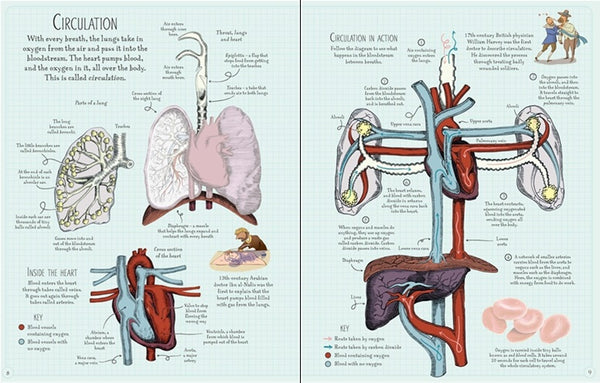 Usborne Human Body Sticker Book - Paperback