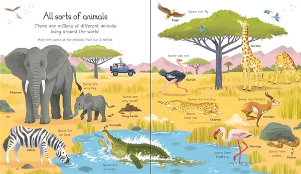 My Very First Animal Book - Board Book