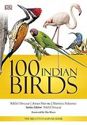 100 Indian Birds : The Big Little Nature Book - Paperback - Kool Skool The Bookstore