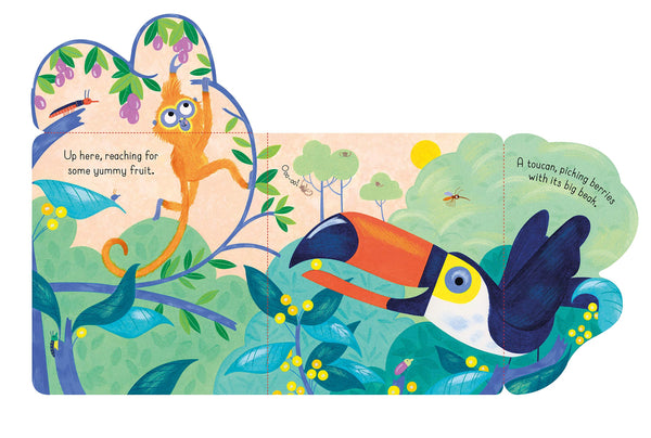 Little Lift and Look Jungle - Boardbook