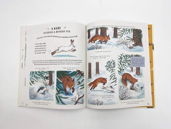 Slow Down: Bring Calm to a Busy World with 50 Nature Stories - Hardback