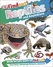 DK Findout! : Reptiles and Amphibians - Kool Skool The Bookstore