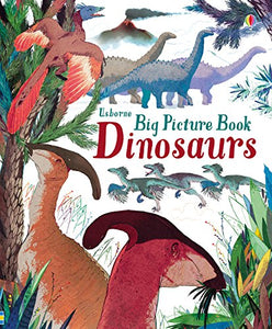 Usborne Big Picture Book Dinosaurs - Hardback