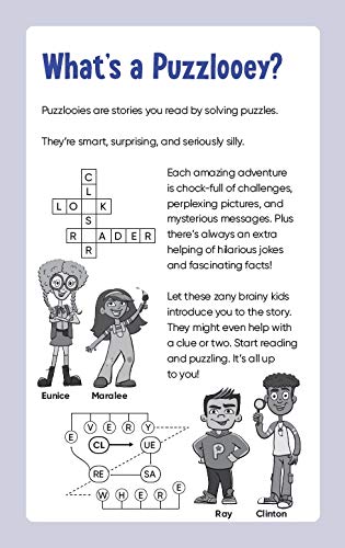 Puzzloonies! Space Cats to the Rescue : A Solve-The-Story Puzzle Adventure - Paperback