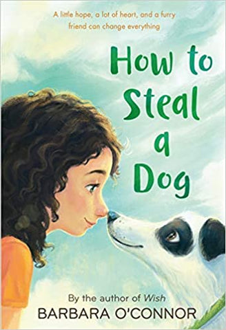 How to Steal a Dog - Kool Skool The Bookstore