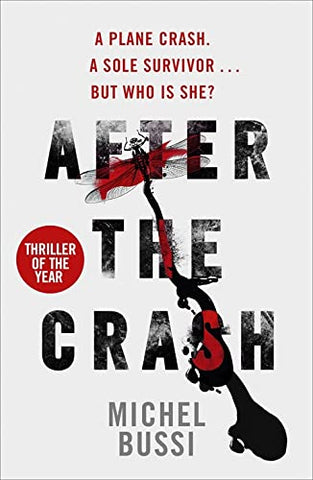 After The Crash - Paperback
