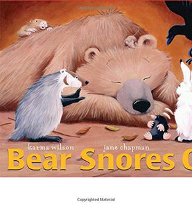 Bear Snores On - Boardbook