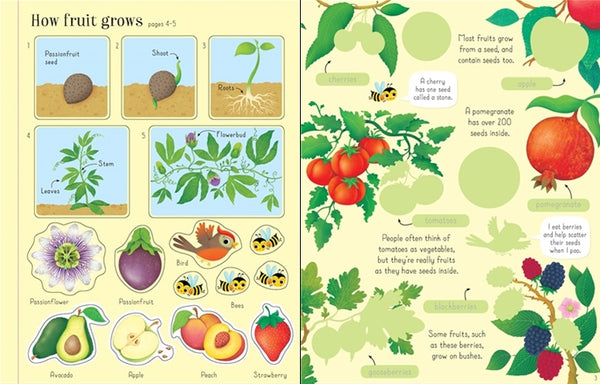 First Sticker Book Fruit & Vegetables - Paperback