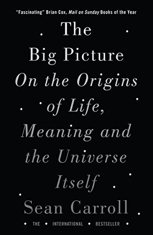 The Big Picture: On the Origins of Life, Meaning, and the Universe Itself - Paperback