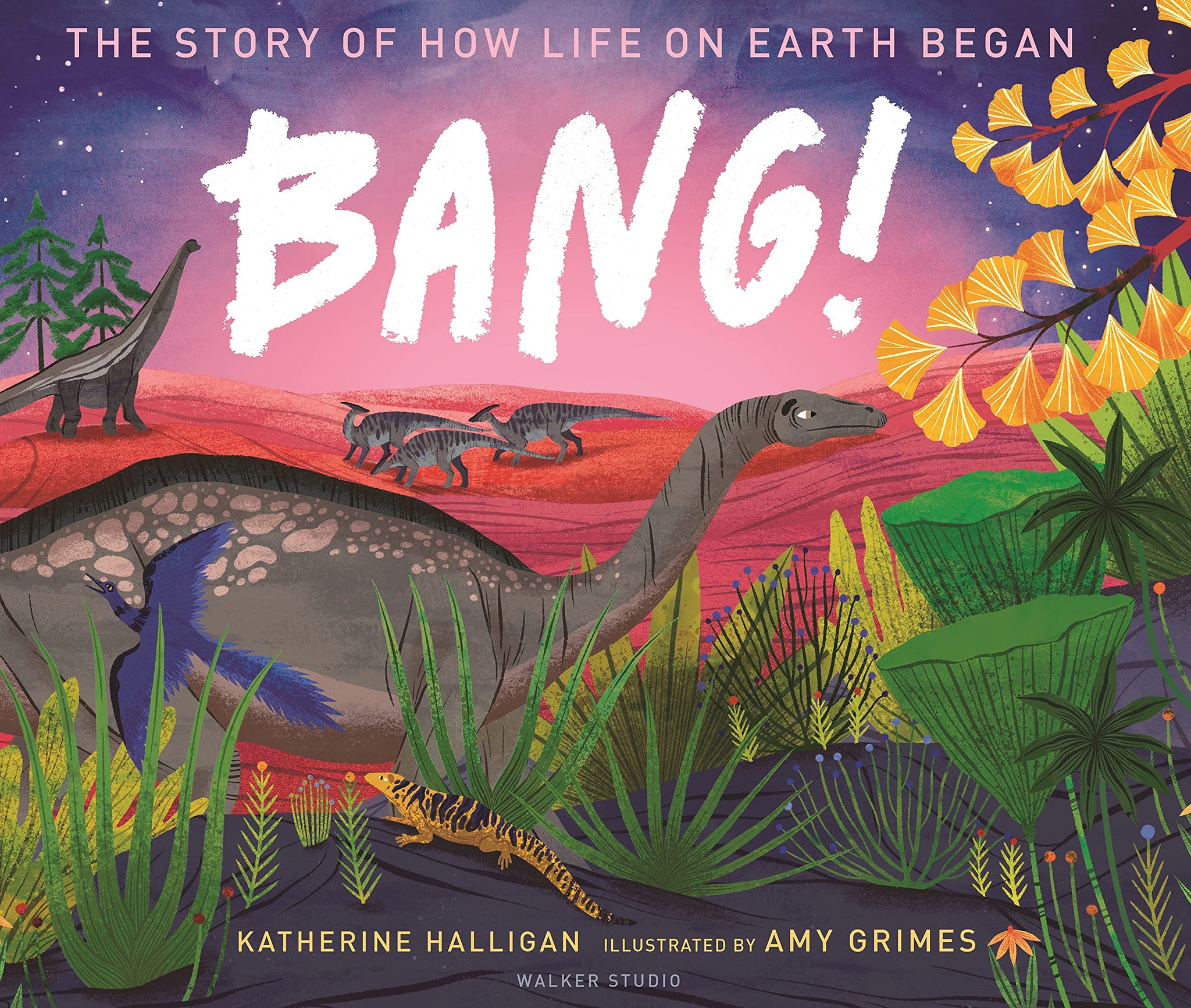 BANG! The Story of How Life on Earth Began - Hardback