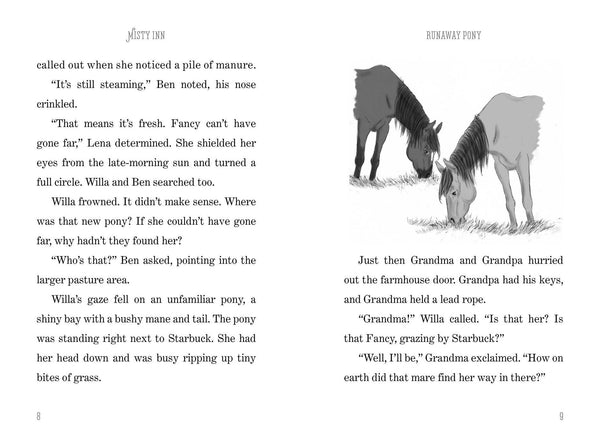 Marguerite Henry's Misty Inn #3 :  Runaway Pony - Paperback