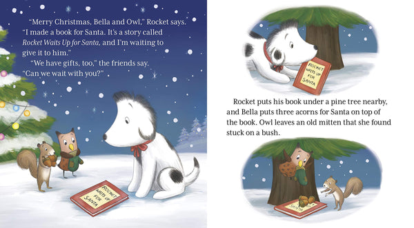 Rocket's Christmas Surprise - Boardbook