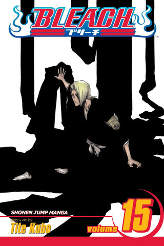 Bleach #15 - Paperback