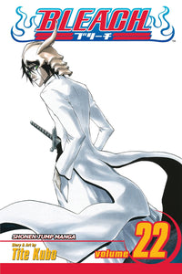 Bleach #22 - Paperback